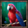 jungle queen bird symbol icon
