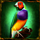 jungle spin bird 1 symbol icon
