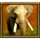 jungle spirit megaways elephant symbol icon