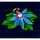 jungle wild flower2 symbol icon