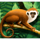 jungle wild monkey symbol icon