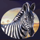 kalahari safari zebra symbol icon