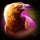 kanga cash extra vulture symbol icon