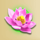 king of monkeys flower symbol icon