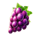 kingdom crown grape symbol icon