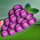 kings crown grapes symbol icon