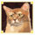 kitty glitter cat2 symbol icon