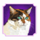 kitty glitter cat3 symbol icon