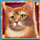 kitty itter grand cat 2 symbol icon