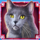 kitty itter grand cat 4 symbol icon