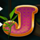 koi fortunes j symbol icon