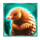 kong wonder wilds symbol 5 icon
