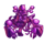 kukeru purple symbol icon