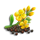 kurka zlotopiorka flower symbol icon