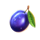 lady fruits 10 easter plum symbol icon
