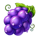lady lemon fruits grapes symbol icon