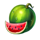 lady lemon fruits watermelon symbol icon