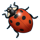 lady of fortune 6 icon