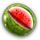 ladybucks melon symbol icon