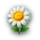 ladybug fortunes flower symbol icon