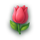 ladybug fortunes tulip symbol icon