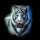 last dragon rings of fortune tiger symbol icon