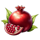 lava balls pomegranate symbol icon