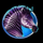 lava lions zebra symbol icon