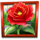 lawn n disorder red flower symbol icon