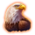 legacy of liberty eagle symbol icon