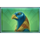 legend of cleopatra bird symbol icon