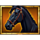 legend of zorro black horse symbol icon