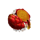 leokan fruit symbol icon