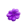 leprechaun hold pink flower symbol icon