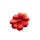 leprechaun hold red flower symbol icon