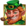 leprechaunsvaultsymbolhp4 icon