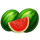 lightning juicy coins watermelon symbol icon