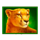 lion gems 3 pots hold and win lion symbol icon