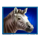 lion gems 3 pots hold and win zebra symbol icon