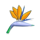 lizards loot flower symbol icon