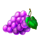 locky fruits hold the spin grapes symbol icon