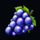 lollas world grapes symbol icon