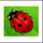 lovely lady ladybug symbol icon