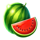 lucky 1spin4win hold and win watermelon symbol icon