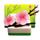 lucky boy flowers symbol icon