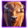 lucky buffalo megaways buffalo symbol icon