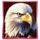 lucky buffalo megaways eagle symbol icon