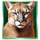 lucky buffalo megaways lynx symbol icon