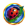 lucky destiny ladybug symbol icon