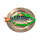 lucky drink fish symbol icon